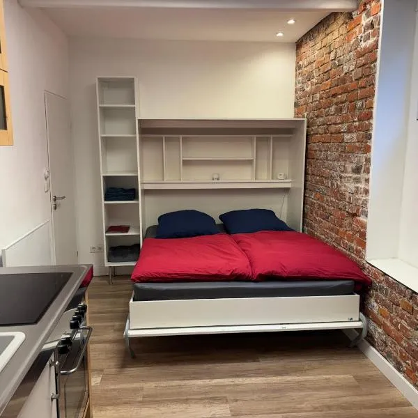 Apartment nah Flughafen, Messe, Arena, Dome,位于杜塞尔多夫的酒店