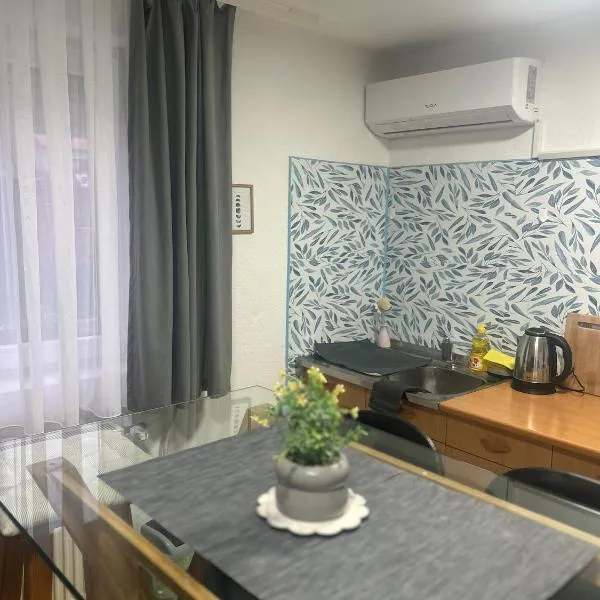 Apartmani Star，位于图兹拉的酒店