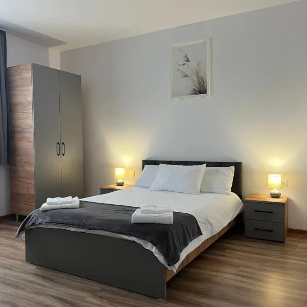 Salin Home，位于Ocna Mureş的酒店