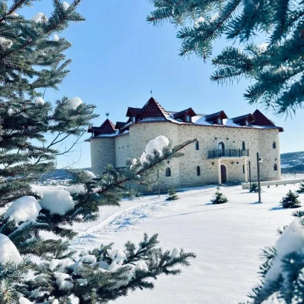 Castel Unghern，位于Ivancea的酒店