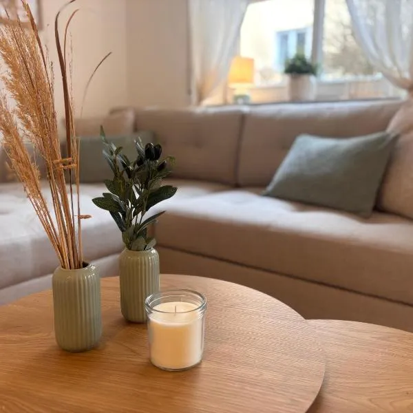 Wohlfühlen am Stadtpark GZ zentral & stilvoll，位于金茨堡的酒店