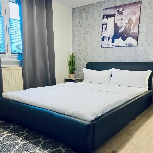 Handwerkswohnung Nova，位于Oberthulba的酒店