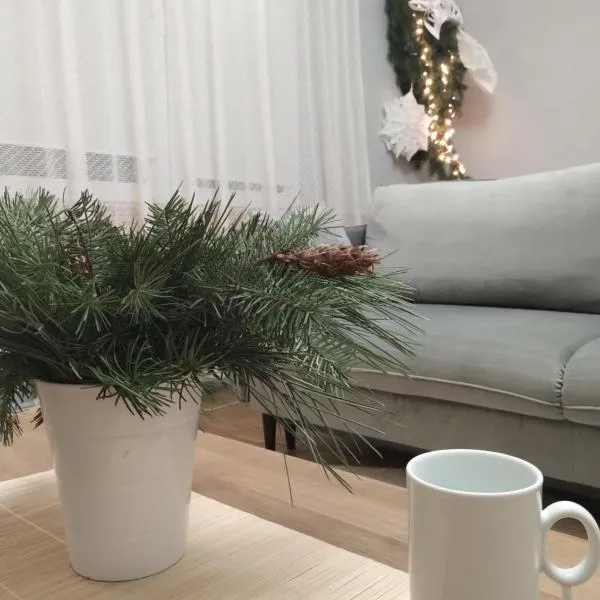 MIKO apartament，位于米科武夫的酒店