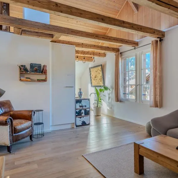 Comfy, Spacious and Central Duplex Apartment，位于茨韦西门的酒店