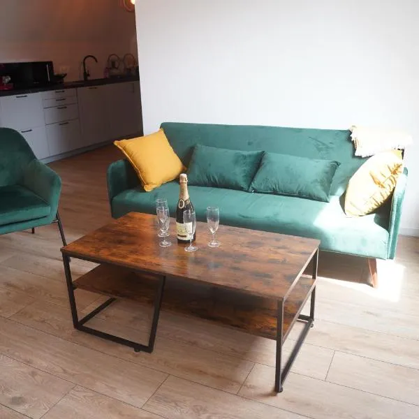 L'appartement de la fontaine，位于米齐格的酒店