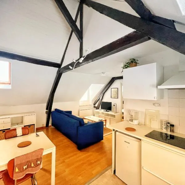 Urban Jungle T2 Pau tout à pied，位于波城的酒店