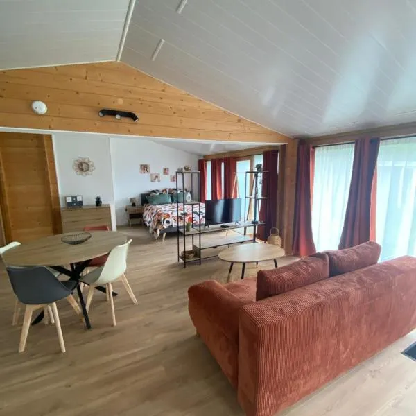 Chalet bois cosy indépendant climatisé avec petit jardin，位于圣约翰德尼奥斯特的酒店