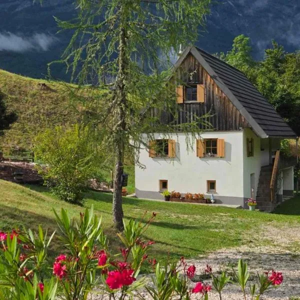 Chalet Vrsnik Hideaway，位于索卡的酒店