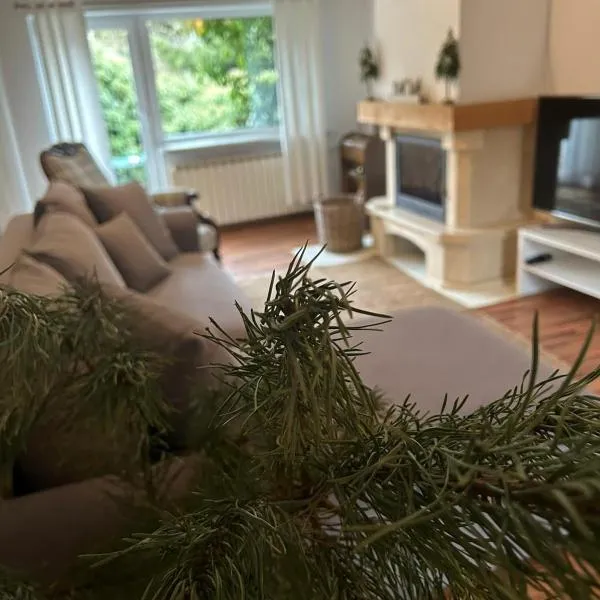 Lux Plus apartament Chodzież, Zwycięstwa 13，位于霍杰日的酒店