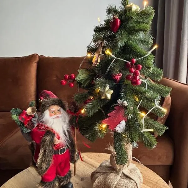 Apartament Grafitowy，位于尼萨的酒店