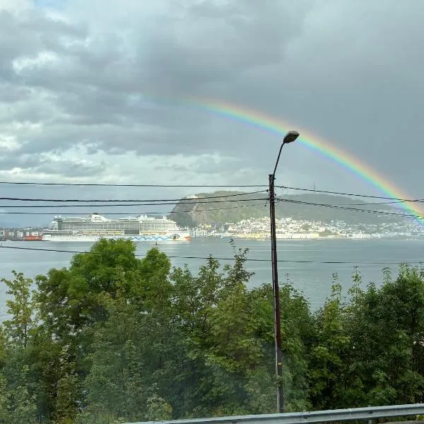 Alesund apartment fantastic view，位于奥勒松的酒店