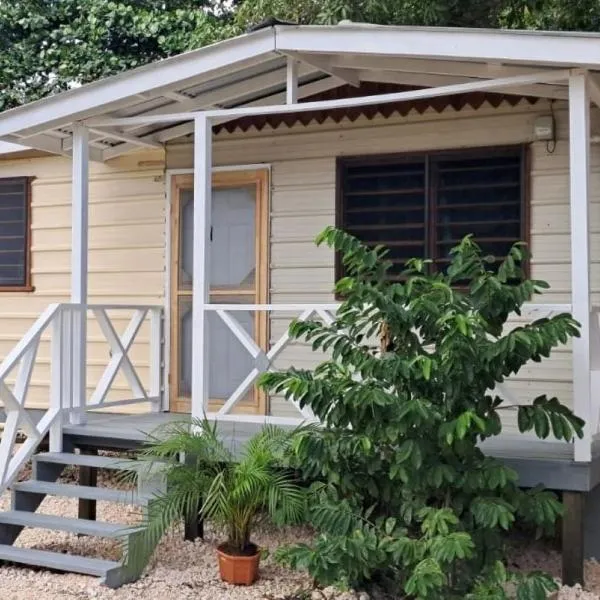 Delva's Villa - Cozy Home near Airport，位于Ladyville的酒店