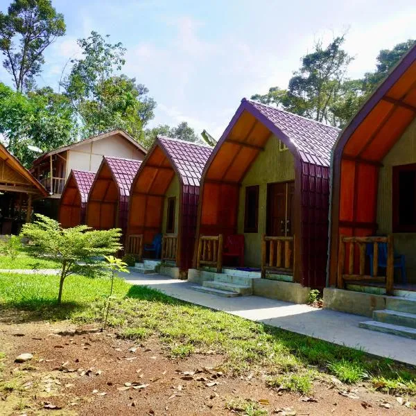 Ecotourism Bukit Lawang Bungalow，位于武吉拉旺的酒店