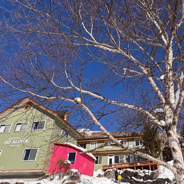 Guesthouse HOALOHA 4 SEASONS，位于茅野的酒店