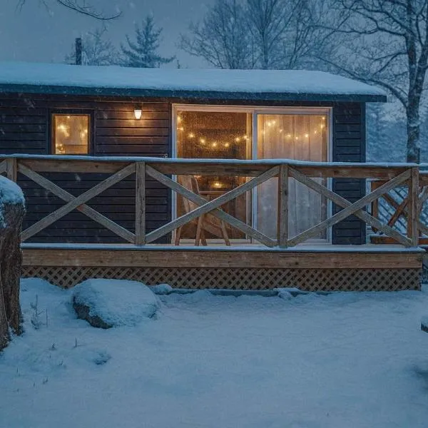 Studio Cottage #8 - Jack Pine，位于格雷文赫斯特的酒店