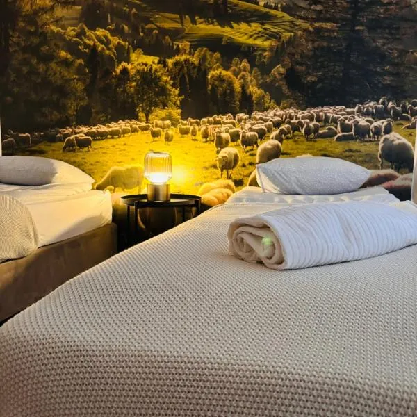 Apartamenty i Pokoje nad Przełomem Dunajca -Rivent，位于Łącko的酒店