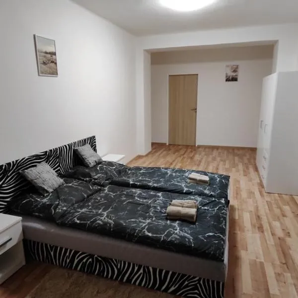 Apartmán pro 4 osoby Pohraniční stráže, Kraslice，位于Kraslice的酒店