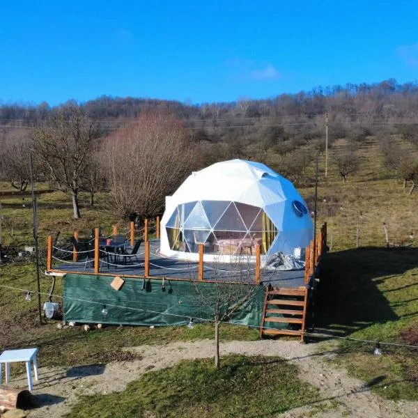 GlampingDenis Igloo，位于Mihăeşti的酒店