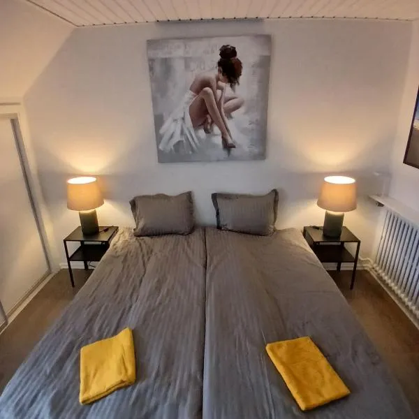 Eksklusiv stort boende Suite 1，位于腓特烈港的酒店