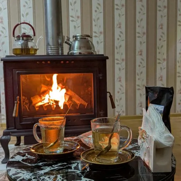 Guest house Data，位于乌树故里的酒店