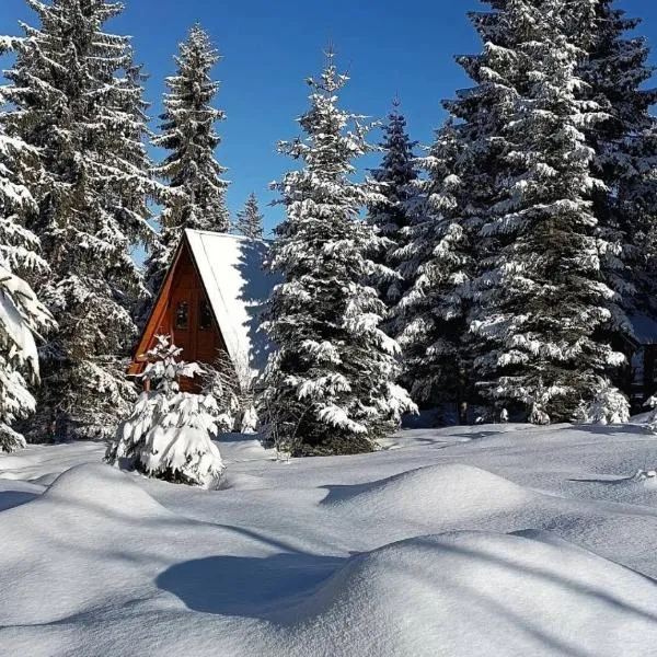 ZlatAir Eco Chalet，位于新瓦罗什的酒店