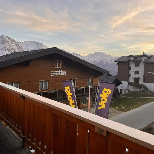 Chalet Alpenheim 2 OG，位于贝特默阿尔卑的酒店