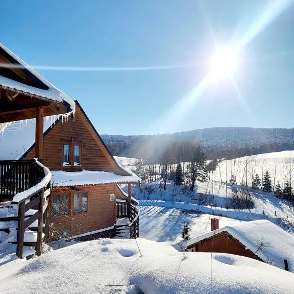 Bieszczadzki Ośrodek Wypoczynkowo Konferencyjny DANFARM，位于下乌斯奇基的酒店