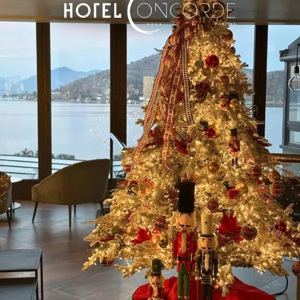 协和酒店，位于阿罗纳的酒店