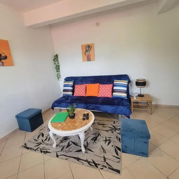 LE MANGO COSY proche de l'aéroport，位于萨莱比梅的酒店