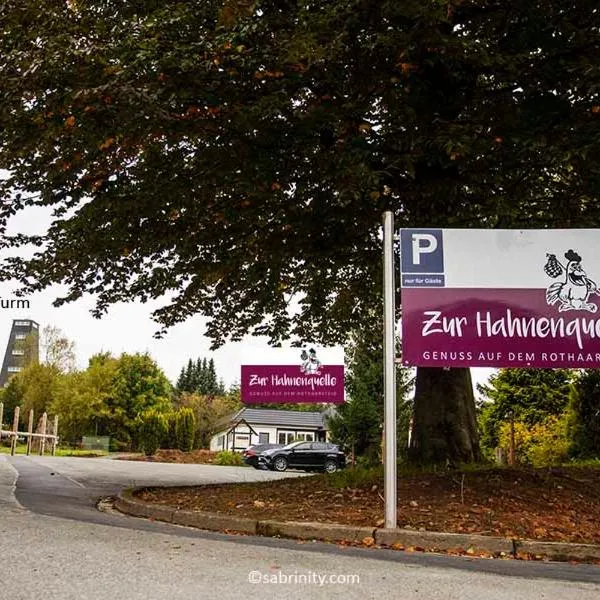 Gaststätte Zur Hahnenquelle，位于基希洪德姆的酒店