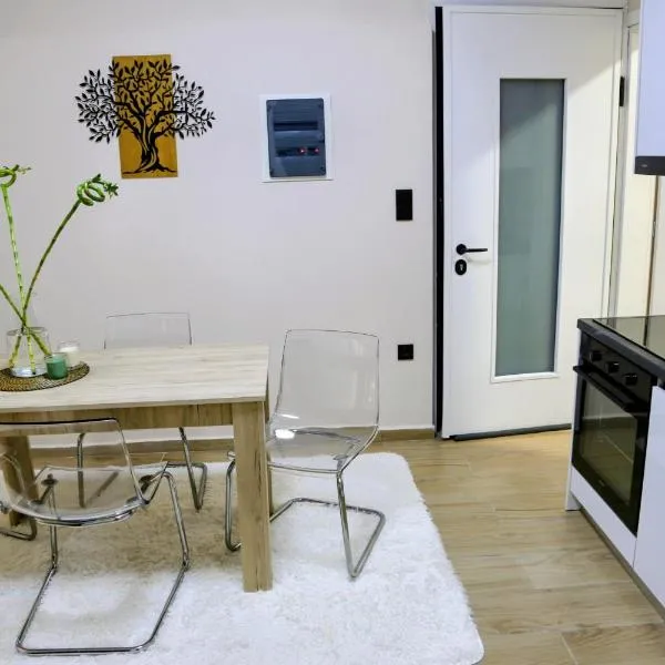 Arhontoula Residences 2 Bedroom Home Kallithea，位于雅典的酒店