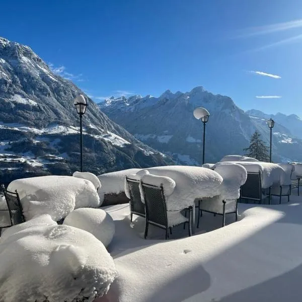 贝尔维尤酒店及自然别墅，位于塞利斯贝格的酒店