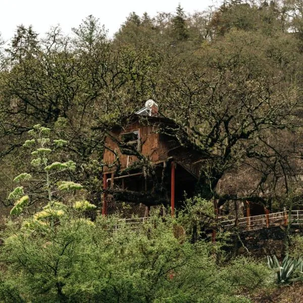 Cabañas Xakali，位于圣华金的酒店