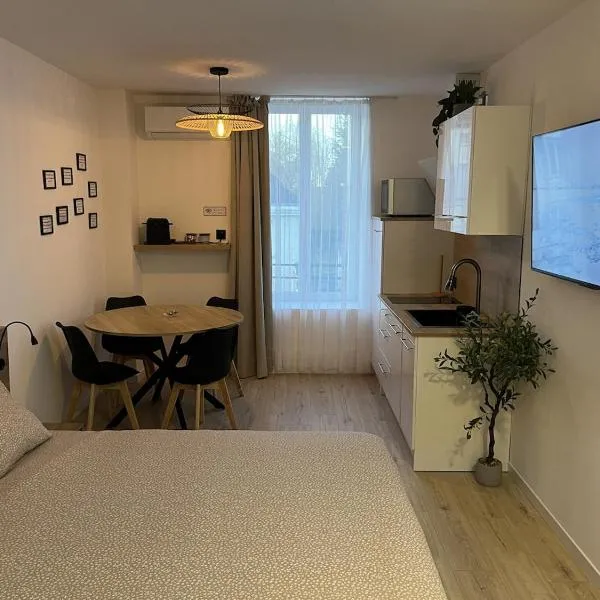 Studio Axel，位于沃苏勒的酒店