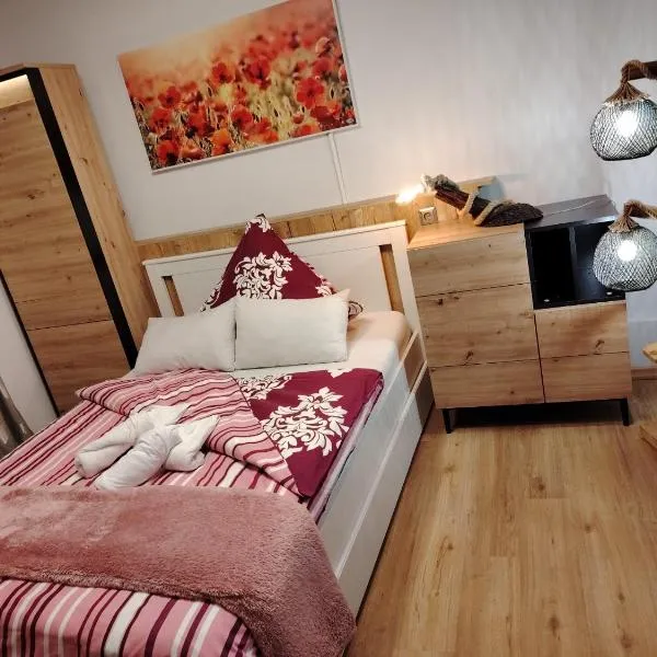 Ferienwohnung Apartment Fewo Alojamiento Casa Demy，位于巴本豪森的酒店