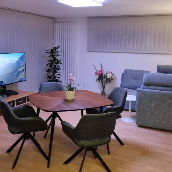 Studio Stadtpark - central, calm, classy, chic，位于奥尔滕的酒店