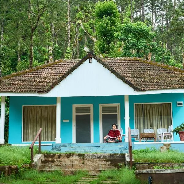 Island Café and Resort，位于Jambur的酒店