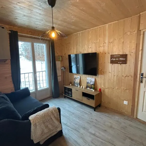Lodge des Mélèzes，位于昂塞勒的酒店
