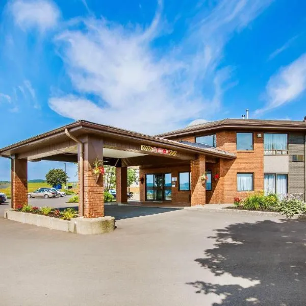 悉尼康福特茵酒店，位于悉尼的酒店