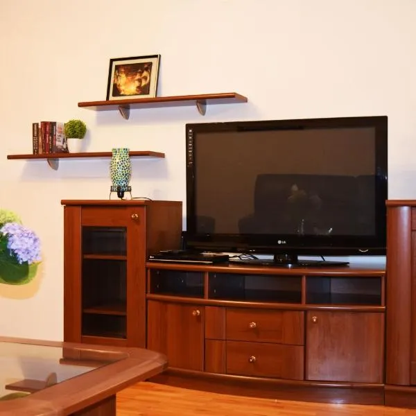 Apartman Ancora1，位于特雷比涅的酒店