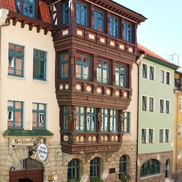 Altstadthotel Garni Schlundhaus & Rautenkranz，位于Sülzfeld的酒店