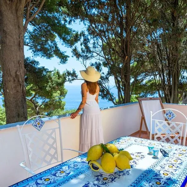 Casa Schiattarella Capri，位于卡普里的酒店