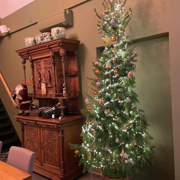 Apollonia，位于阿尔特的酒店