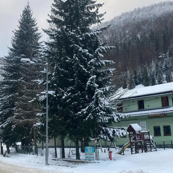 Penzión Borovica Stratená，位于斯特拉特纳的酒店