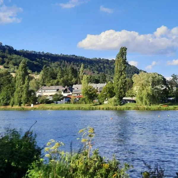 拉林根霍夫乡村旅馆，位于Ralingen的酒店