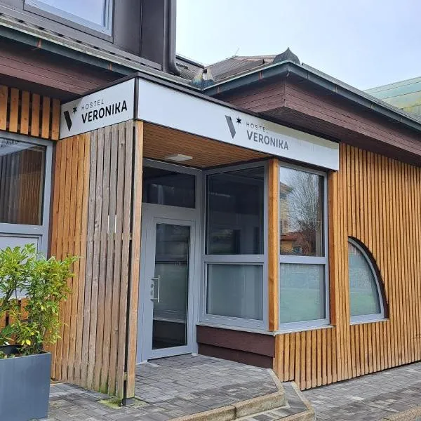 Hostel Veronika Celje，位于采列的酒店