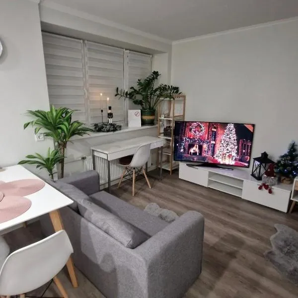 Studio seaside apartment，位于利耶帕亚的酒店