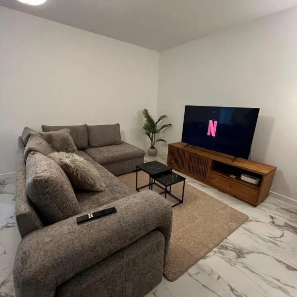 Appartement spacieux centre Colmar，位于科尔马的酒店