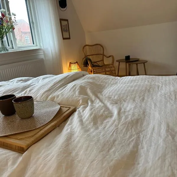 Modern & Unique property in Odense centrum - FREE PARKING，位于欧登塞的酒店