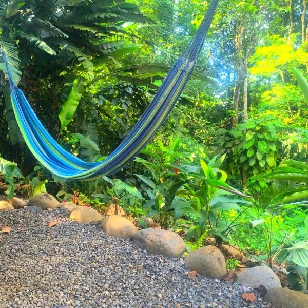 Monstera Forest Lodge，位于福尔图纳的酒店